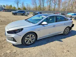 KMHE34L38KA093255 2019 HYUNDAI SONATA