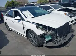 KMHE34L39KA092390 2019 HYUNDAI SONATA