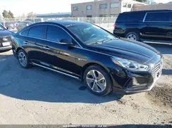 KMHE54L21KA091784 2019 HYUNDAI SONATA