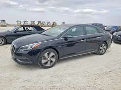 KMHE54L23GA031738 2016 HYUNDAI SONATA