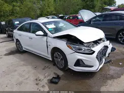 KMHE54L24KA091097 2019 HYUNDAI SONATA