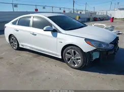 KMHE54L27KA090123 2019 HYUNDAI SONATA