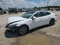 KMHL14JAXPA346999 2023 HYUNDAI SONATA