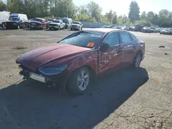 KMHL24JA3PA335291 2023 HYUNDAI SONATA