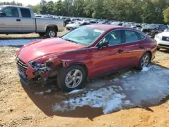 KMHL24JA9PA342536 2023 HYUNDAI SONATA