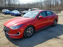 KMHL24JJ1LA015980 2020 HYUNDAI SONATA