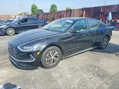 KMHL24JJ3PA077919 2023 HYUNDAI SONATA