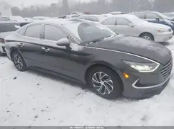 KMHL24JJ6PA059267 2023 HYUNDAI SONATA