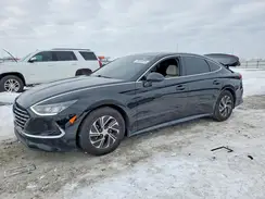 KMHL24JJ7LA010055 2020 HYUNDAI SONATA