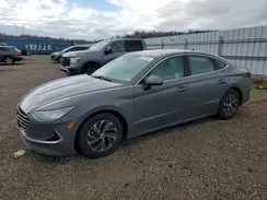 KMHL24JJXLA012298 2020 HYUNDAI SONATA
