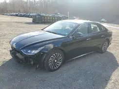 KMHL34JJ3PA055223 2023 HYUNDAI SONATA