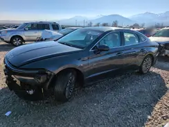 KMHL34JJ7RA090821 2024 HYUNDAI SONATA