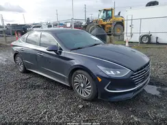 KMHL34JJ8LA010031 2020 HYUNDAI SONATA