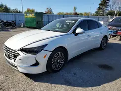 KMHL34JJ8PA054441 2023 HYUNDAI SONATA
