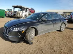 KMHL54JJ0PA064438 2023 HYUNDAI SONATA