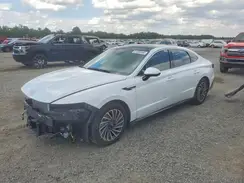 KMHL54JJ5RA099978 2024 HYUNDAI SONATA