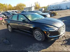 KMHL54JJ6PA058501 2023 HYUNDAI SONATA