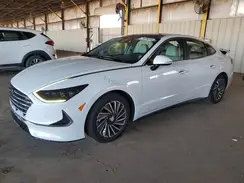 KMHL54JJ6PA082667 2023 HYUNDAI SONATA