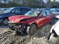 KMHL54JJ6RA099536 2024 HYUNDAI SONATA