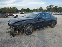 KMHL54JJ9RA096419 2024 HYUNDAI SONATA