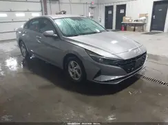 KMHLL4AG1PU549373 2023 HYUNDAI ELANTRA