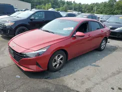 KMHLL4AG3PU444723 2023 HYUNDAI ELANTRA
