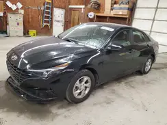 KMHLL4AG4PU539310 2023 HYUNDAI ELANTRA