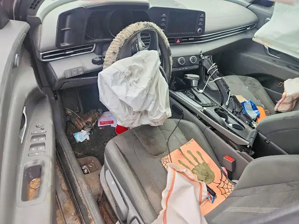 KMHLL4AG5PU540286 2023 HYUNDAI ELANTRA - Image 8