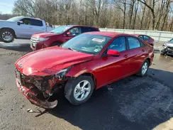 KMHLL4AG6PU379382 2023 HYUNDAI ELANTRA