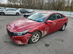 KMHLL4AG7PU379391 2023 HYUNDAI ELANTRA