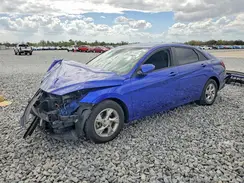 KMHLL4AGXPU532703 2023 HYUNDAI ELANTRA