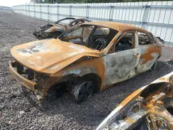 KMHLL4DG0SU916851 2025 HYUNDAI ELANTRA