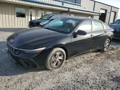KMHLL4DG1RU800990 2024 HYUNDAI ELANTRA