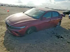 KMHLL4DG1RU817207 2024 HYUNDAI ELANTRA