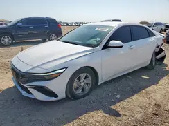 KMHLL4DG3RU683297 2024 HYUNDAI ELANTRA