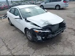 KMHLL4DG3RU842142 2024 HYUNDAI ELANTRA