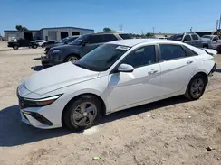 KMHLL4DG4RU829447 2024 HYUNDAI ELANTRA