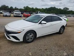 KMHLL4DG5RU658689 2024 HYUNDAI ELANTRA