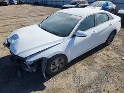 KMHLL4DG5RU667618 2024 HYUNDAI ELANTRA