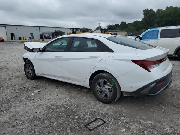 KMHLL4DG5RU771350 2024 HYUNDAI ELANTRA - Image 2