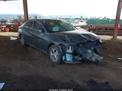 KMHLL4DG5SU894376 2025 HYUNDAI ELANTRA