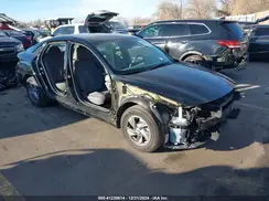 KMHLL4DG6RU765251 2024 HYUNDAI ELANTRA