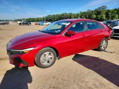 KMHLL4DG7SU001995 2025 HYUNDAI ELANTRA