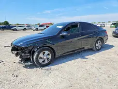 KMHLL4DG8RU669833 2024 HYUNDAI ELANTRA