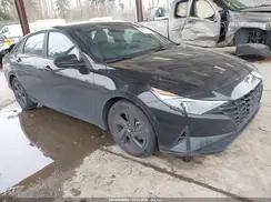 KMHLM4AG0PU466532 2023 HYUNDAI ELANTRA