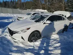 KMHLM4AG0PU588629 2023 HYUNDAI ELANTRA