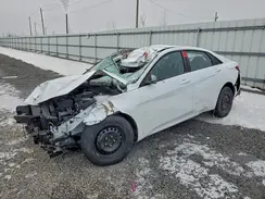 KMHLM4AG1PU377083 2023 HYUNDAI ELANTRA