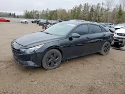 KMHLM4AG4MU097041 2021 HYUNDAI ELANTRA