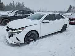 KMHLM4AG4PU541359 2023 HYUNDAI ELANTRA