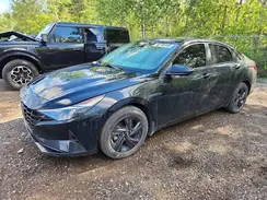 KMHLM4AG4PU609935 2023 HYUNDAI ELANTRA
